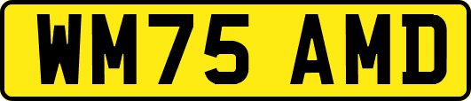 WM75AMD