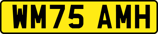 WM75AMH