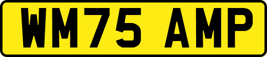 WM75AMP