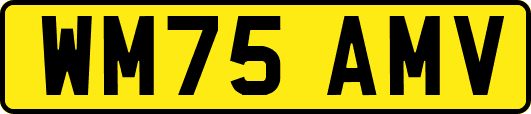 WM75AMV