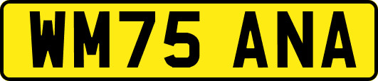WM75ANA