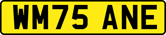 WM75ANE
