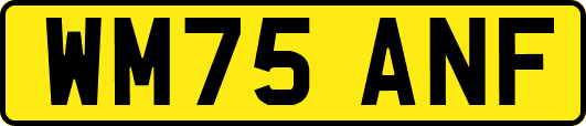 WM75ANF