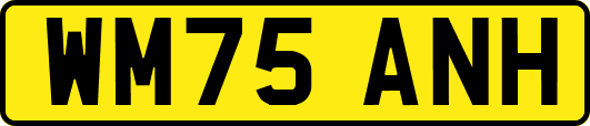 WM75ANH