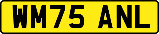 WM75ANL