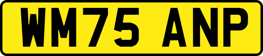 WM75ANP