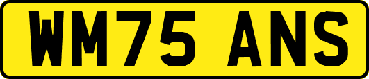 WM75ANS