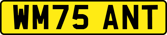 WM75ANT