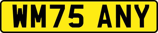 WM75ANY