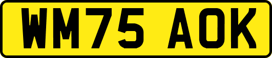 WM75AOK