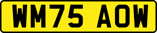 WM75AOW