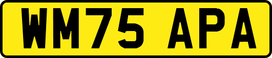 WM75APA
