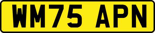 WM75APN