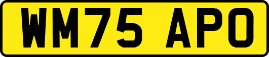WM75APO