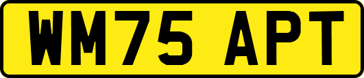 WM75APT