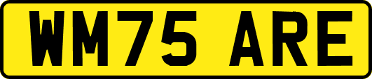 WM75ARE