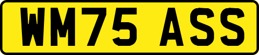 WM75ASS