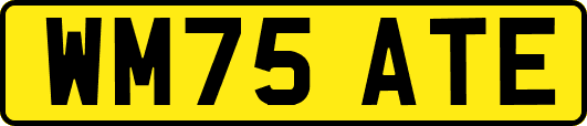 WM75ATE