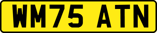 WM75ATN