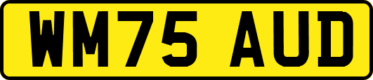 WM75AUD