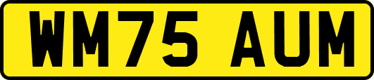 WM75AUM