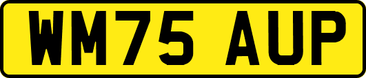 WM75AUP