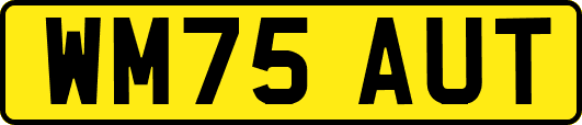 WM75AUT