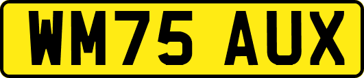 WM75AUX