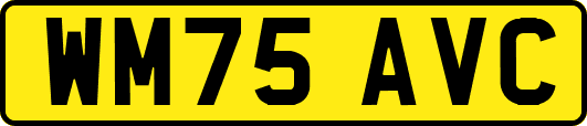 WM75AVC