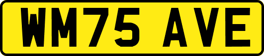WM75AVE
