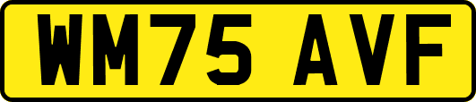 WM75AVF