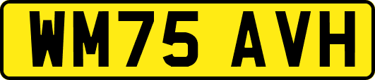 WM75AVH