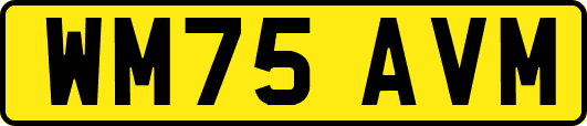 WM75AVM