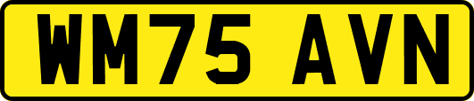 WM75AVN