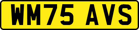 WM75AVS