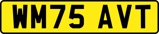 WM75AVT