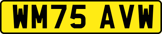 WM75AVW