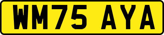 WM75AYA