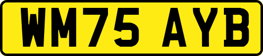 WM75AYB