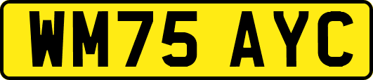 WM75AYC