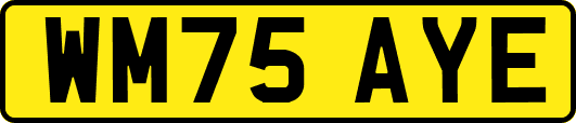 WM75AYE