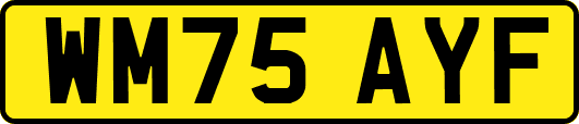 WM75AYF