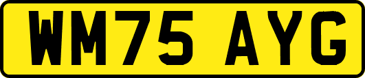 WM75AYG