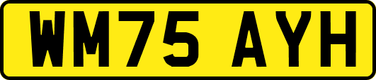 WM75AYH