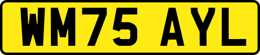 WM75AYL