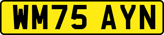 WM75AYN