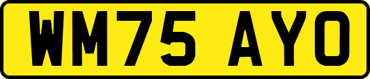 WM75AYO