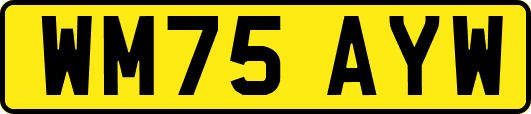 WM75AYW