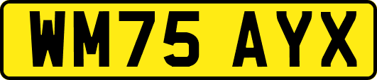 WM75AYX