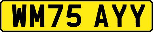 WM75AYY